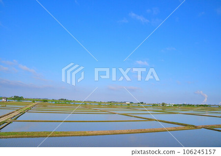 春天稻田的越後平原（新潟縣） 106245157