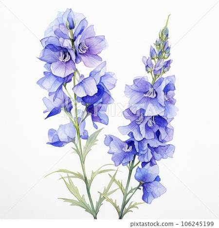 Blue watercolour delphinium larkspur spring… - Stock Illustration