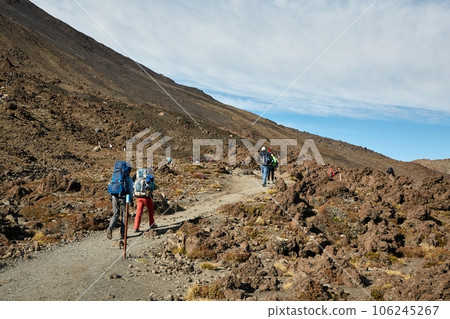 New Zealand hiking trail in Tongariro National Park New Zealand hiking trail in Tongariro National Park 106245267