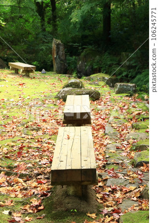 Bench Bench 106245771