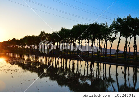 Manganji Hasagi Morning (Niigata Prefecture) 106246012