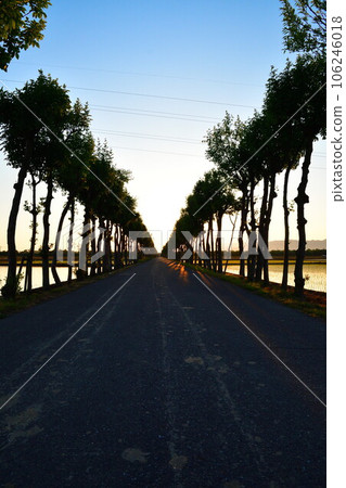 Manganji Hasagi Morning (Niigata Prefecture) 106246018