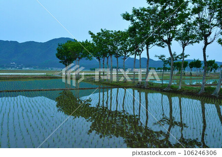 Natsui's Hasagi morning view (Niigata Prefecture) Natsui's Hasagi morning view (Niigata Prefecture) 106246306