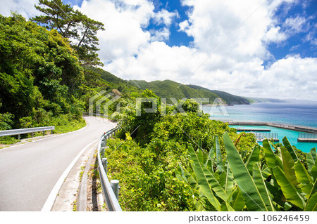 A road overlooking the emerald green sea 106246459