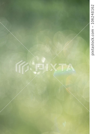 Fresh fresh green image material Fresh fresh green image material 106248162