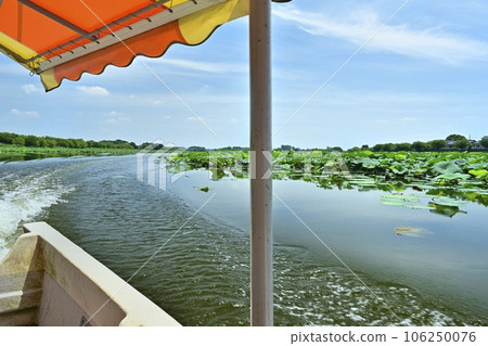 Tatebayashi Jonuma Flower lotus colony from the sightseeing boat 106250076