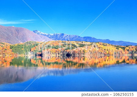 Autumn leaves of Aoki lake 106250155