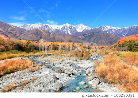 白馬松川和北阿爾卑斯山白馬三山的秋葉 白馬松川和北阿爾卑斯山白馬三山的秋葉 106250381