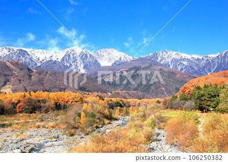 白馬松川和北阿爾卑斯山白馬三山的秋葉 106250382