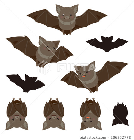 Bat Bat 106252778