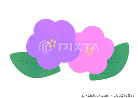 hand drawn purple and pink flower illustration hand drawn purple and pink flower illustration 106252852