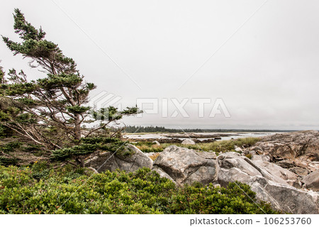 Exploring the beach in the morning at Kejimkujik National Park Seaside, Nova Scotia, Canada Exploring the beach in the morning at Kejimkujik National Park Seaside, Nova Scotia, Canada 106253760