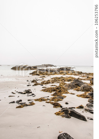 Exploring the beach in the mist morning at Kejimkujik National Park Seaside, Nova Scotia, Canada 106253766