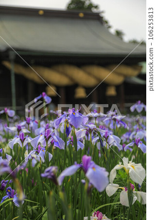 宮吉岳神社虹膜節 宮吉岳神社虹膜節 106253813