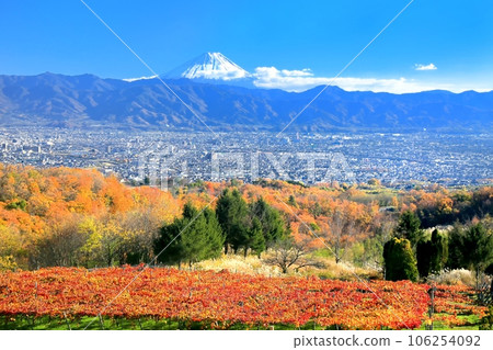 Autumn leaves in the vineyard and Mount Fuji Autumn leaves in the vineyard and Mount Fuji 106254092