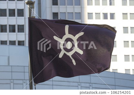 Flag of Tokyo, Japan 106254201