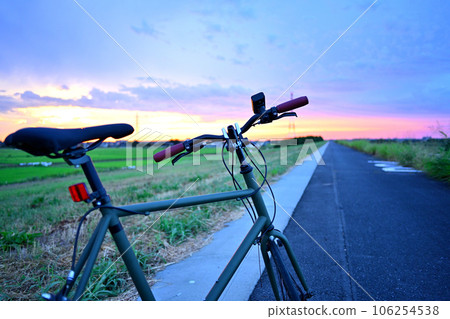 迷你 Velo 假日自行車 106254538