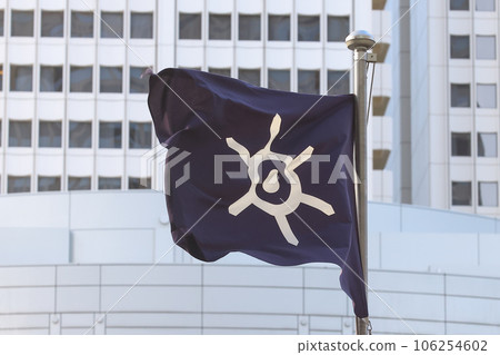 Flag of Tokyo, Japan 106254602