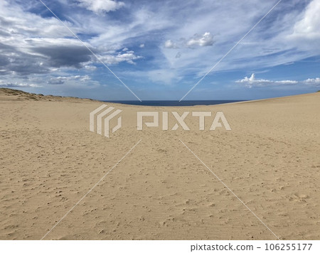 beautiful dune landscape 106255177