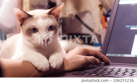 Pawsitive Work Vibes Pawsitive Work Vibes 106255216