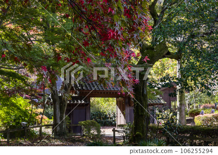 The gate of an old private house surrounded by autumn leaves The gate of an old private house surrounded by autumn leaves 106255294