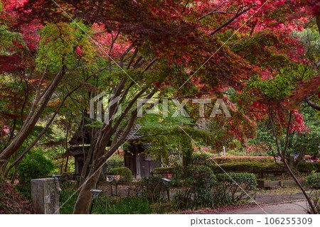 The gate of an old private house surrounded by autumn leaves The gate of an old private house surrounded by autumn leaves 106255309