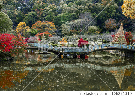 A bridge reflected in a pond with autumn leaves 106255310