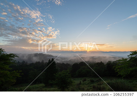 雲海和日出,茶臼山高原 雲海和日出,茶臼山高原 106255397