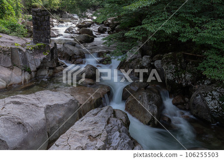 奧多納山谷，一條流經新鮮綠色植物的河流 106255503
