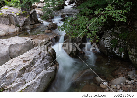 奧多納山谷，一條流經新鮮綠色植物的河流 106255509