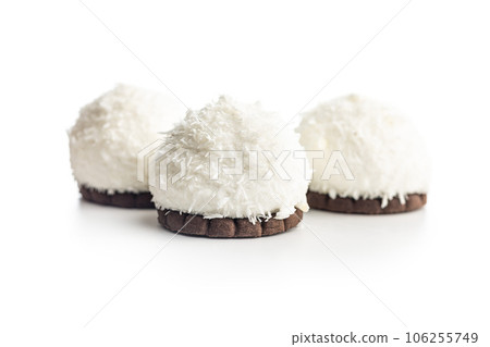 Sweet coconut dessert isolated on white background. 106255749