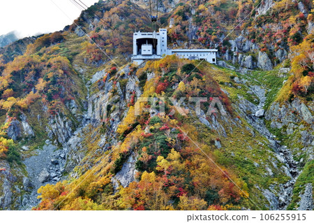 秋天的立山黑部阿爾卑斯山路線 從立山纜車眺望的景色 106255915
