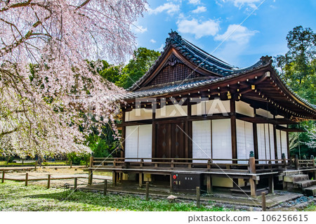 櫻花盛開的京都醍醐寺～青龍宮參拜殿～ 106256615