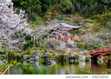 櫻花盛開的京都醍醐寺 -弁天堂- 106256916