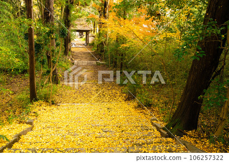 Daikoji Temple, the family temple of the Kinoshita family of the Ashimori clan, Autumn leaves approach 5 Ashimori, Kita Ward, Okayama City, Okayama Prefecture 106257322