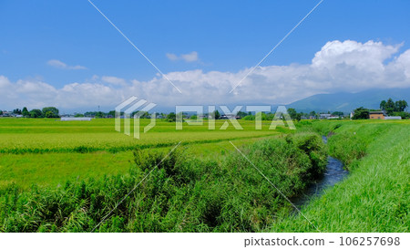 盛夏田園風光藍天白雲 盛夏田園風光藍天白雲 106257698
