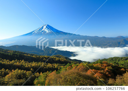 A sea of clouds, Mt.Fuji seen from a forest road in Kawaguchiko, Yamanashi Prefecture A sea of clouds, Mt.Fuji seen from a forest road in Kawaguchiko, Yamanashi Prefecture 106257766