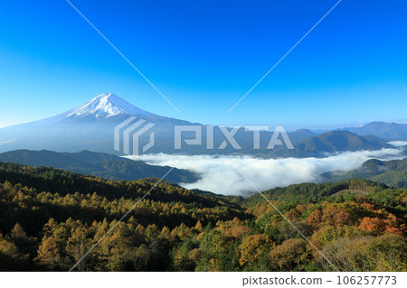 從山梨縣河口湖的林間道路看到的雲海富士山 從山梨縣河口湖的林間道路看到的雲海富士山 106257773