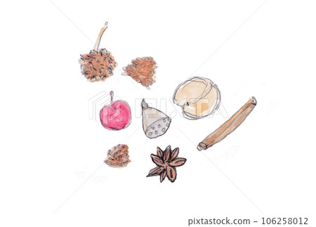 Illustration of various nuts drawn with pencils and transparent watercolors 106258012