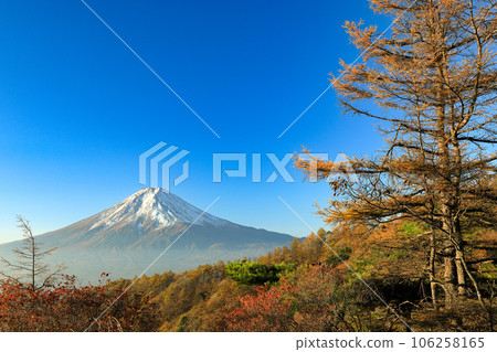 View of Mt.Fuji from Mitsutouge with autumn leaves Kawaguchiko Town, Yamanashi Prefecture View of Mt.Fuji from Mitsutouge with autumn leaves Kawaguchiko Town, Yamanashi Prefecture 106258165