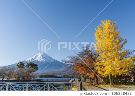 秋天的河口湖湖畔風光【山梨縣富士河口湖町】 106258481