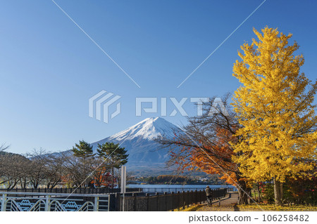 秋天的河口湖湖畔風光【山梨縣富士河口湖町】 106258482