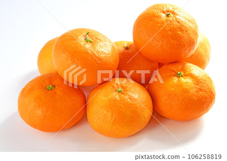 Mandarin orange (Ai-san) Mandarin orange (Ai-san) 106258819