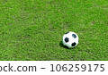 soccer field,football field , green grass background texture on the athletic stadium 106259175