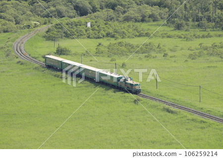 Kushiro Shitsugen Norokko train running through the Kushiro Marsh in Hokkaido in summer Kushiro Shitsugen Norokko train running through the Kushiro Marsh in Hokkaido in summer 106259214