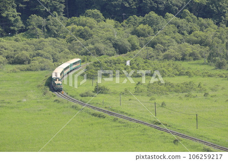 夏季,釧路濕原小火車穿過北海道釧路濕原 夏季,釧路濕原小火車穿過北海道釧路濕原 106259217