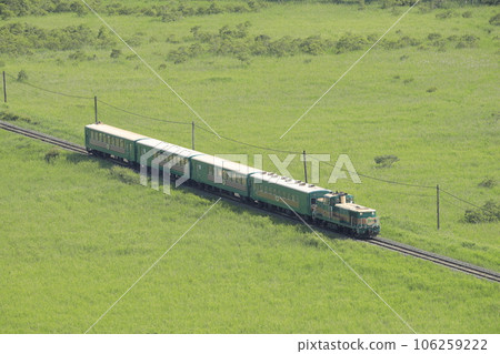Kushiro Shitsugen Norokko train running through the Kushiro Marsh in Hokkaido in summer Kushiro Shitsugen Norokko train running through the Kushiro Marsh in Hokkaido in summer 106259222