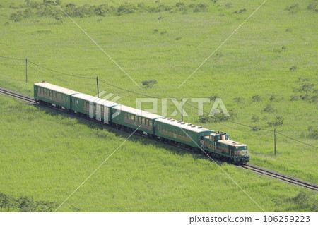 Kushiro Shitsugen Norokko train running through the Kushiro Marsh in Hokkaido in summer 106259223