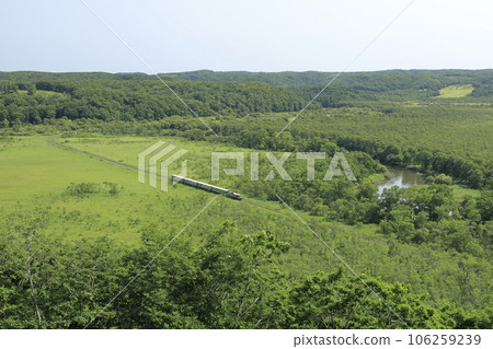 夏季，釧路濕原小火車穿過北海道釧路濕原 106259239