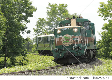 夏季，沿著北海道釧路濕地的曲線行駛的釧路濕地小車號 106259254